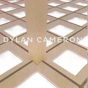 Dylan Cameron: Infinite Floor