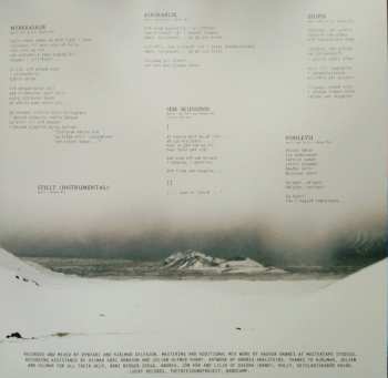 2LP Dynfari: Sem Skugginn LTD | CLR