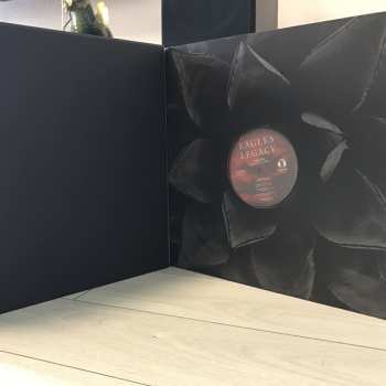 15LP/Box Set Eagles: Legacy The Eagles