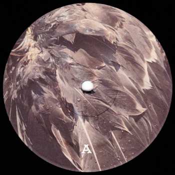 LP Earl Lee Grace: Blackgrass LTD