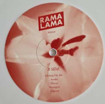 LP Echo Ladies: Lilies CLR | LTD