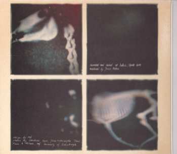 CD Echoes Of Yul: Cold Ground DIGI