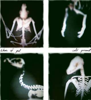 Album Echoes Of Yul: Cold Ground