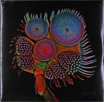LP Echolot: Volva