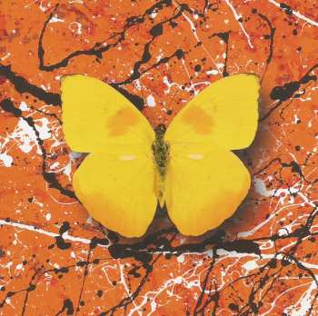 CD Ed Sheeran: = (Equals)