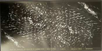 2LP Eigenlicht: Self​-​Annihilating Consciousness