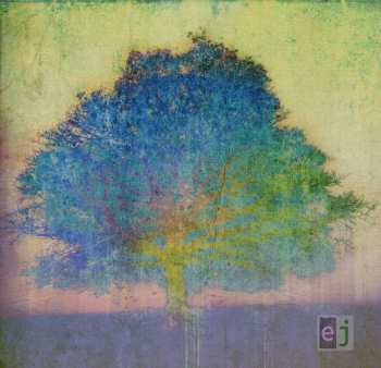 CD Eric Johnson: EJ DIGI