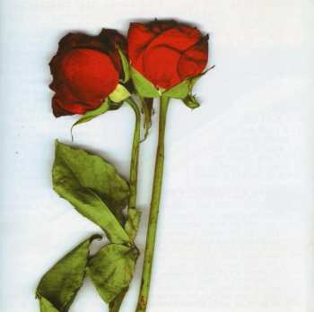 CD El Guapo: Fake French