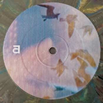 LP Elephant Stone: Back Into The Dream