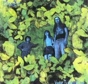 CD Elevator Through: Vague Premonition