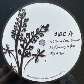 LP Eli Winter: Eli Winter