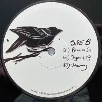 LP Eli Winter: Eli Winter