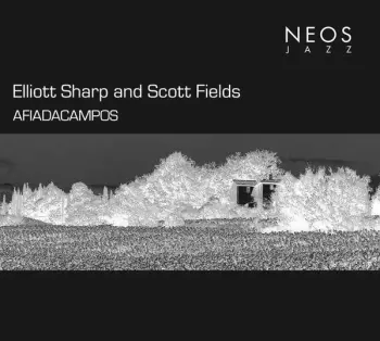 Elliott Sharp: Afiadacampos