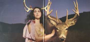 LP Em Beihold: Tales Of A Failed Shapeshifter