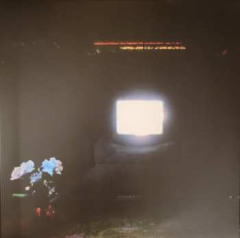 2LP Emeralds: Does It Look Like I'm Here? LTD | CLR