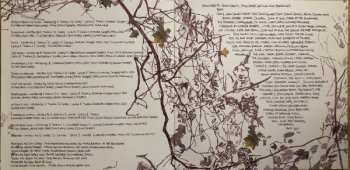 LP Emiliana Torrini: Fisherman's Woman