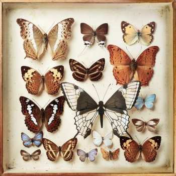 Album Emiliana Torrini: Rarities