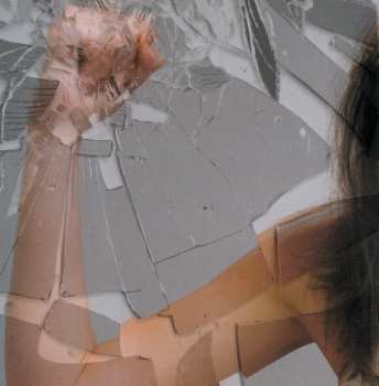 CD Endwell: Homeland Insecurity