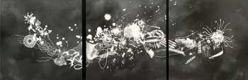 2LP Enrico Sangiuliano: Biomorph