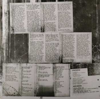 LP Enslaved: Yggdrasill LTD | NUM | CLR