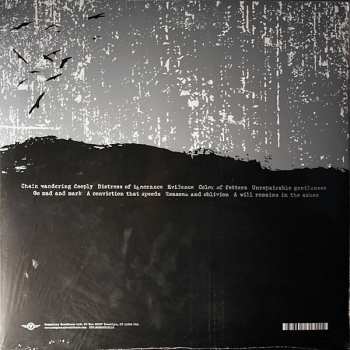2LP Envy: A Dead Sinking Story