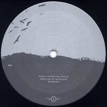 2LP Envy: A Dead Sinking Story