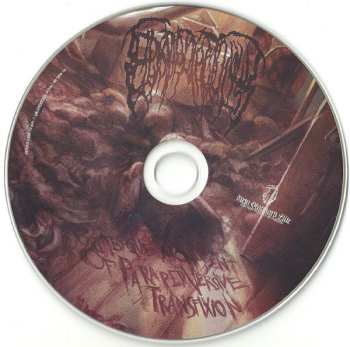 CD Epicardiectomy: Grotesque Monument Of Paraperversive Transfixion