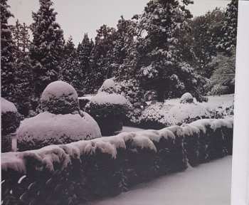 CD Eric Clapton: Old Sock DIGI