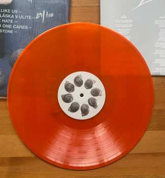 LP Erika Rein: Kamibe CLR | LTD | NUM