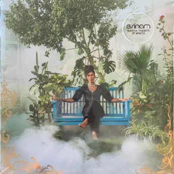 Esinam: Shapes In Twilights Of Infinity