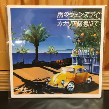 雨のウェンズデイ / カナリア諸島にて