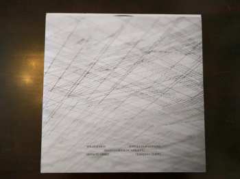 2LP Explosions In The Sky: The Wilderness DLX | LTD