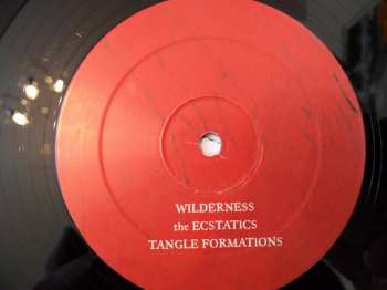 2LP Explosions In The Sky: The Wilderness DLX | LTD