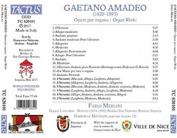 CD Fabio Merlini: Opere Per Organo (Organ Works)