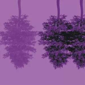 Fahrettin Aykut: Myth Of The Drum. Urban Transformation