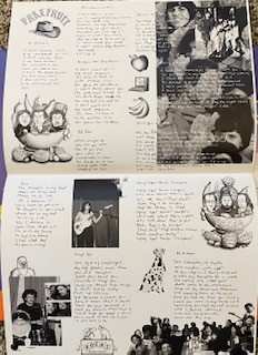 LP Fake Fruit: Fake Fruit