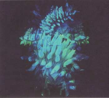 Album Fakear: All Glows