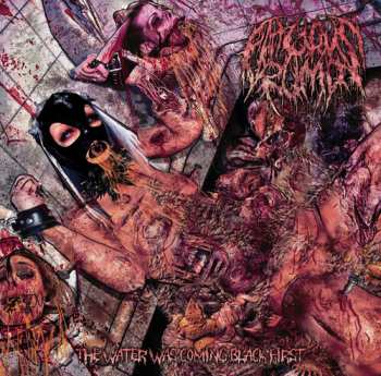 Album Fatuous Rump: Water Was Coming Black First