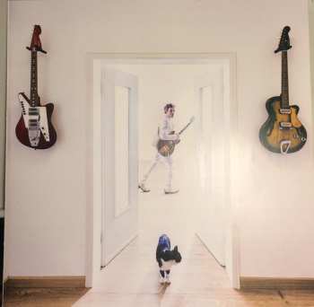 CD Federico Poggipollini: Canzoni Rubate