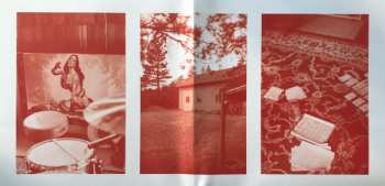 LP Feels: Post Earth LTD