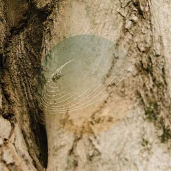 Album Field Works: Maples, Ash, and Oaks: Cedars Instrumentals