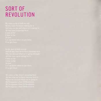 CD Fink: Sort Of Revolution