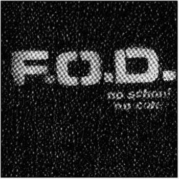 LP Flag Of Democracy: No School, No Core.