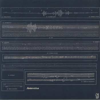 LP Flat Worms: Antarctica