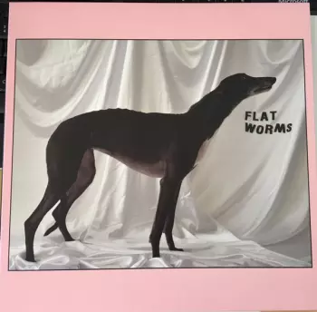 Flat Worms: Flat Worms