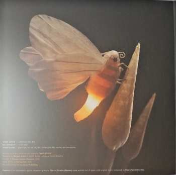 LP Floex: Papetura Soundtrack CLR