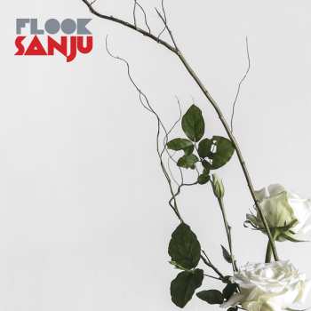 Album Flook: Sanju [vinyl]