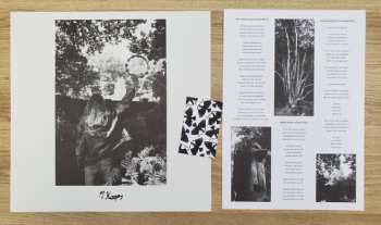 LP Fluisteraars: Gegrepen Door De Geest Der Zielsontluiking