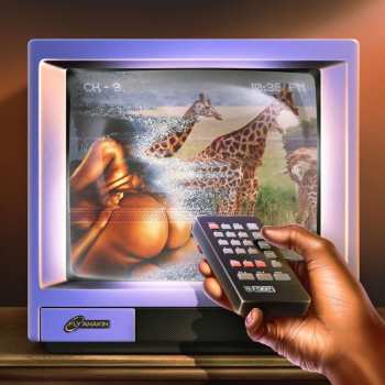 CD Fly Anakin: Skinemaxxx