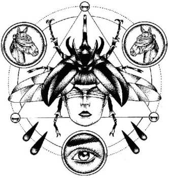 LP Flying Hórses: Reverie